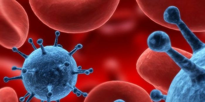 A New Way to Starve Cancer Cells