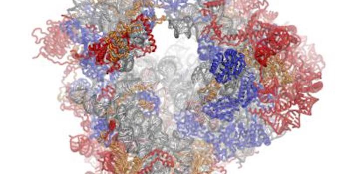 Revealing a Previously Unknown Role for the Ribosome
