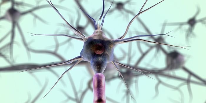 New Biomarkers Improve Diagnostics for Multiple Sclerosis & An MS-Like Disorder
