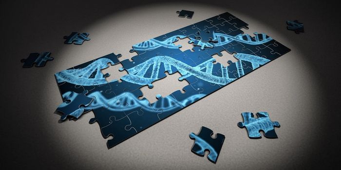 New Insight Into Genetic Basis of IBD From African-American Patients