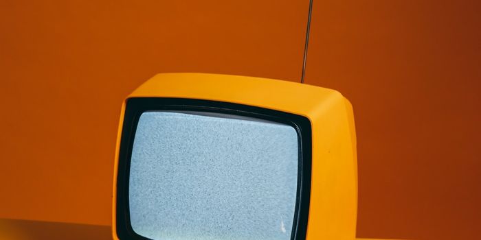 What Happens When Your Immune System Forgets