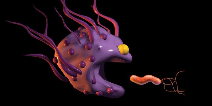 New Component of Macrophage Metabolism Discovered