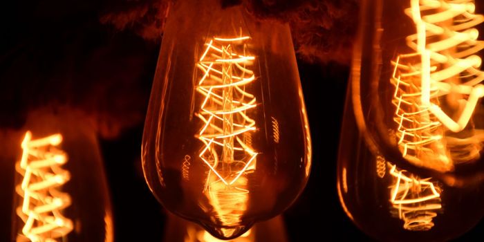 Fluorescent Proteins Extend Blood Flow Tracking to Months in Mice