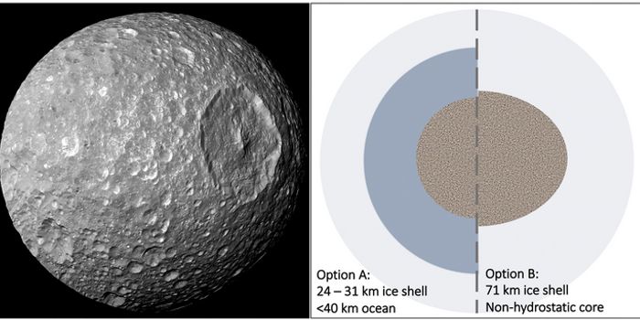 Saturn's Moon, Mimas, Could Be an Ocean World After All