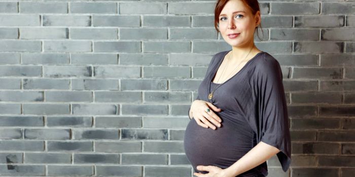 Scientists build a placenta to study infections like Zika