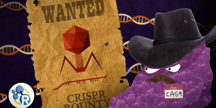 CRISPR-Cas9 for Genetically Modified Humans?
