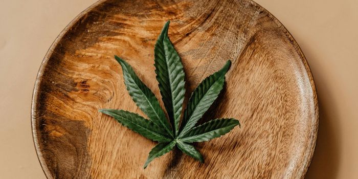 86% of Drug Researchers Report Using Drugs Like Cannabis