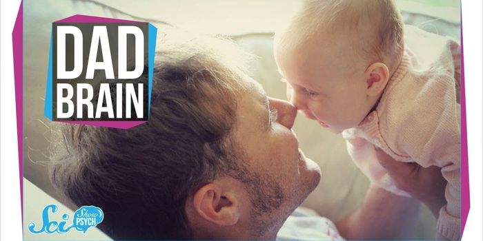 Pregnancy Impacts the Father's Brain Too