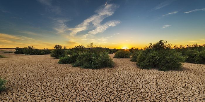 2019 Was The Second Warmest Year on Record