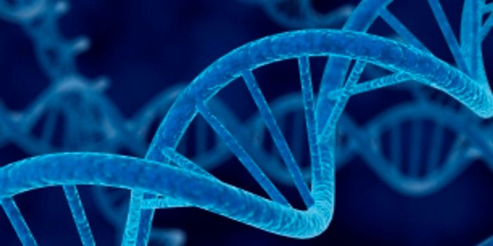 Genetic Link of Impulsivity and Procrastination