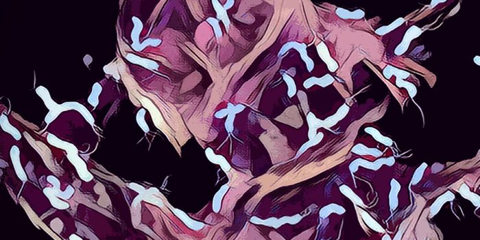 Small RNA is Connected to Bacterial Pathogenicity