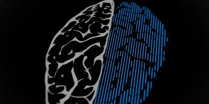 Can Science Create an Artificial Brain?