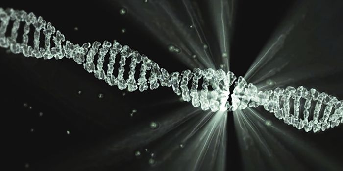 Deciphering How Some Environmental Influences Affect Development