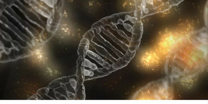 Genetic Test ID's Breast Cancer Patients with Lowest Risk of Death