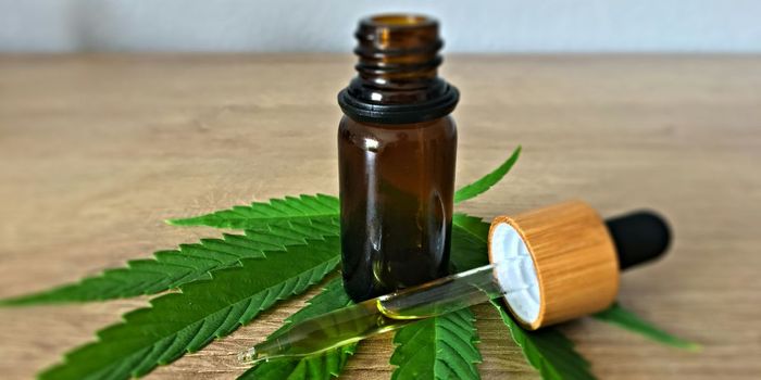Is CBD Really Safe for Pregnant Women?