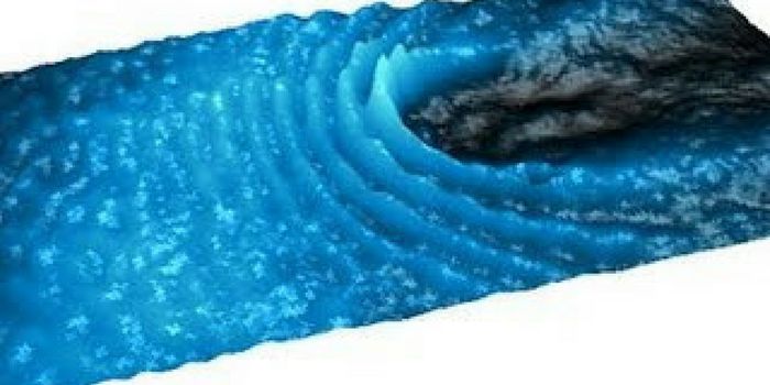 Liquid Light Observed at Room Temperature for the First Time