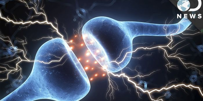 Here's How Thoughts Work, and How Fast