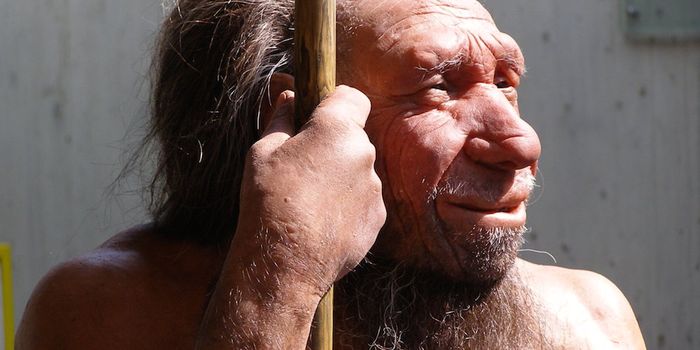 Modern Humans Didn't Kill Off the Neanderthals, Infectious Diseases Did, Study Finds