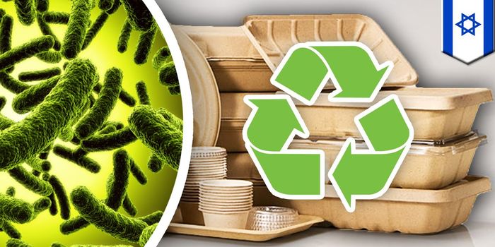 Researchers Create a Sustainable Plastic From Seaweed-eating Microbes