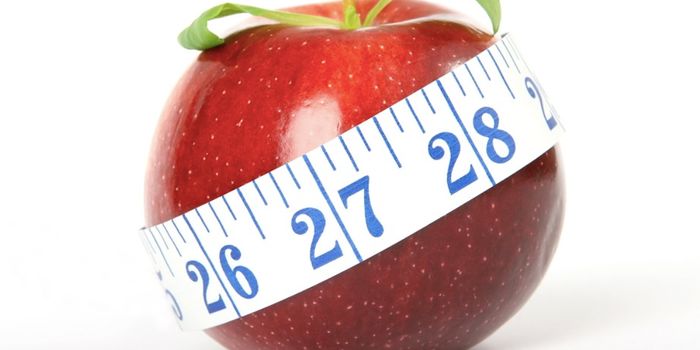 Weight Loss is Linked to Changes in the Brain & Gut Microbiome