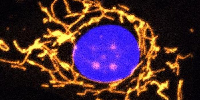 Gene Therapy for Eye Disorder May Have Other Applications