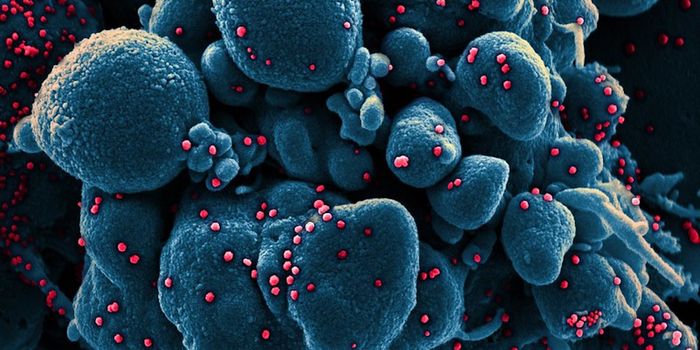 An Antibody Against SARS May Neutralize SARS-CoV-2