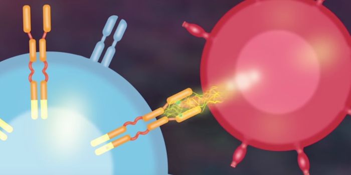 Single Cell Modified in CAR T Therapy Causes Deadly Relapse