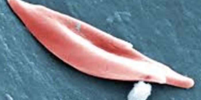 Beneficial Genetic Mutations Could Help Patients