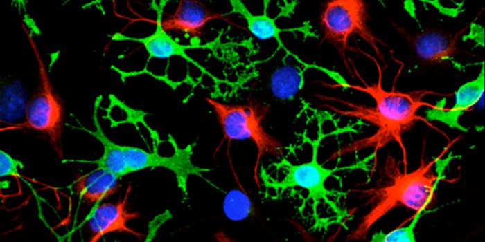 A New Approach to Repairing Damage from Alzheimer's Disease