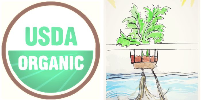 Can Hydroponics Be Organic? US Standards Board Says Yes