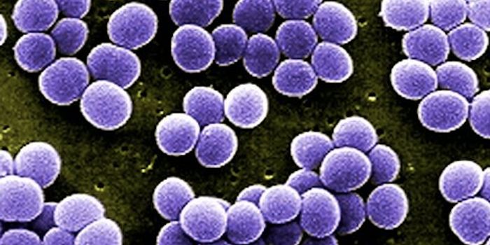 Rise of Antibiotic Resistance Linked to Climate Change