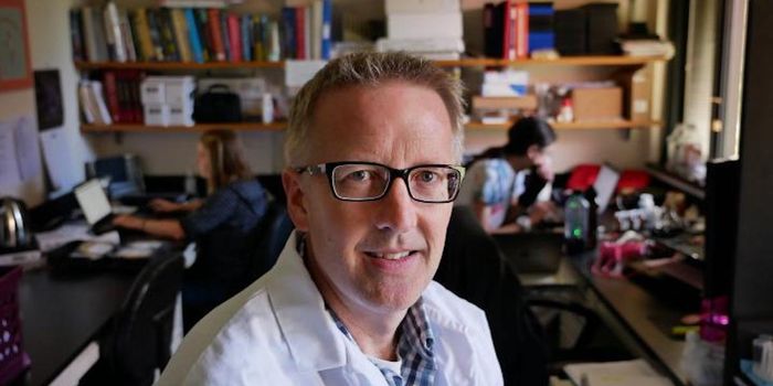 Healthy Fat From a Beneficial Microbe May Help us Relieve Stress