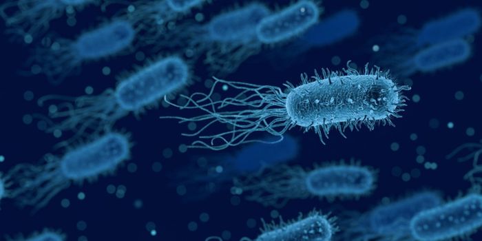 Revealing how Gene Activity is Controlled in Microbes