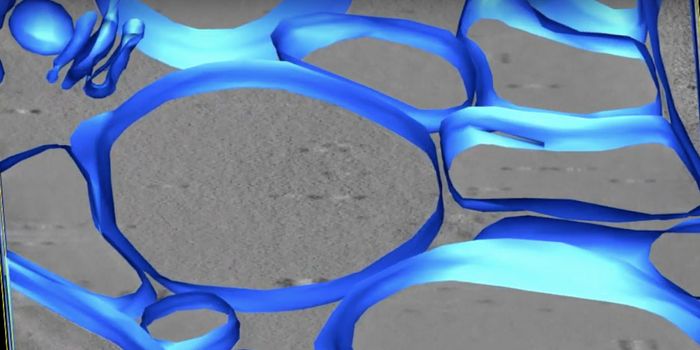 The 'Wake Up Call' for Seeds