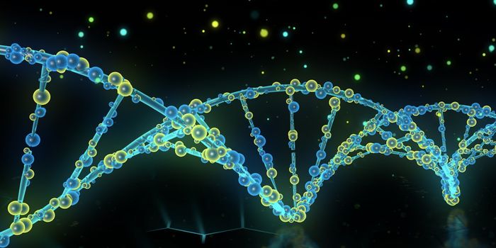 A 20-Year Study Upends Dogma About Telomeres & Cancer