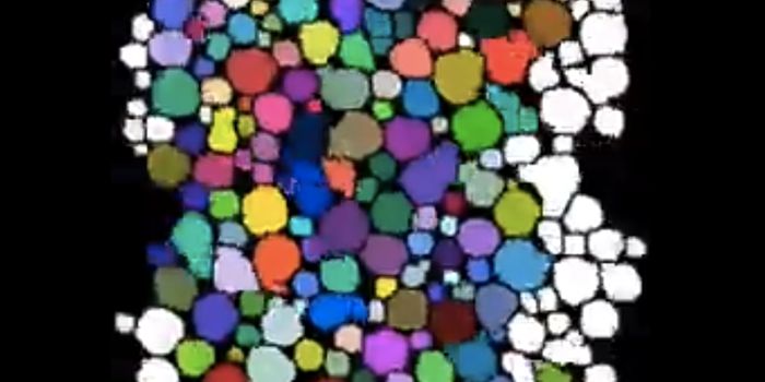 Understanding the Restorative Power of Sleep