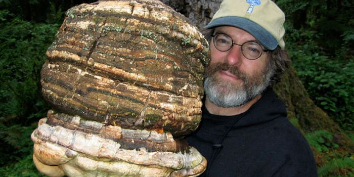 How Mushrooms Can Save the World-And put Monsanto Out of Business