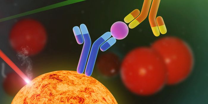 Understanding Tumor Biomarker Stability in Multicancer Research