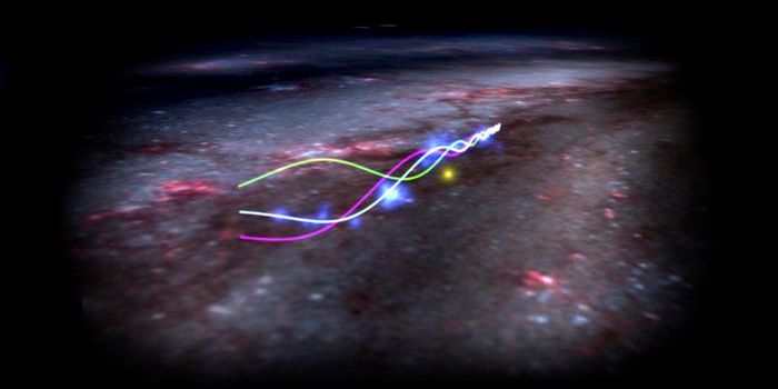 Galactic Symphony: The Oscillating Wonders of the Radcliffe Wave