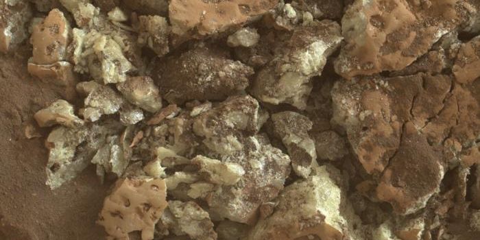 Martian Sulfur Chemistry May Have Sustained Microbial Life