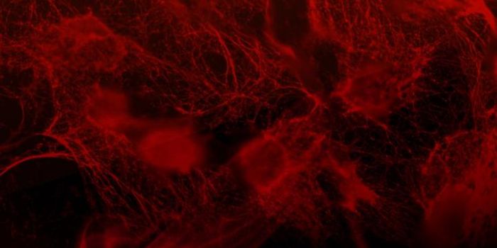 Just another reason to avoid nicotine: tissue damage