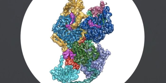 Insight Into the Epigenetic Mechanisms Controlling Cellular Identity