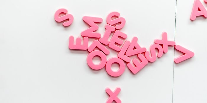 Decoding the Immune System's Language