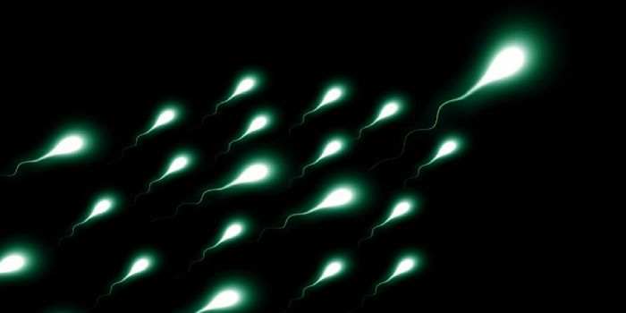 Drug Could Prevent Male Infertility Following Cancer Treatment