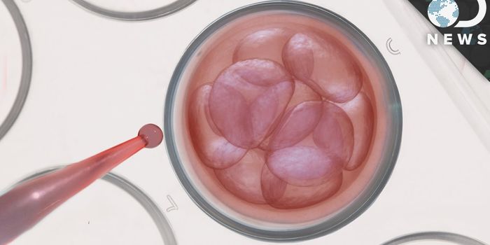Embryonic Stem Cell Concerns