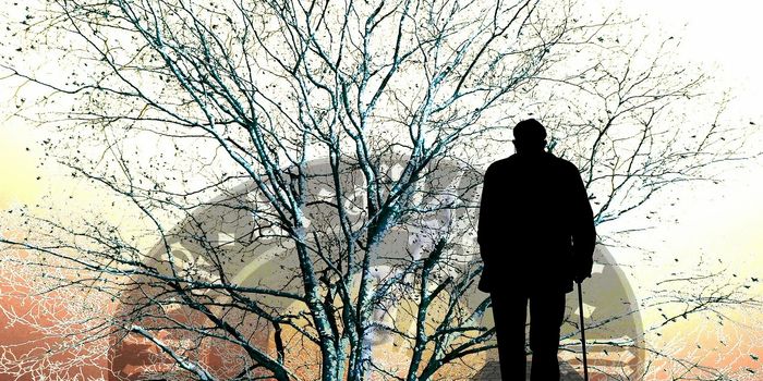 Gum Disease is Linked to Alzheimer's Disease