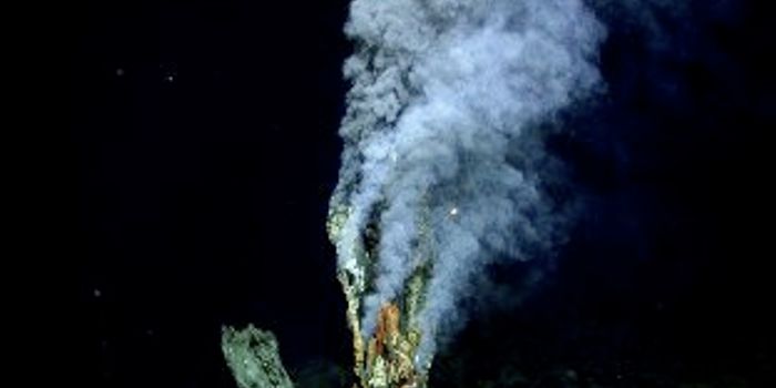Could the Environment of Deep-Sea Vents Create Life? 
