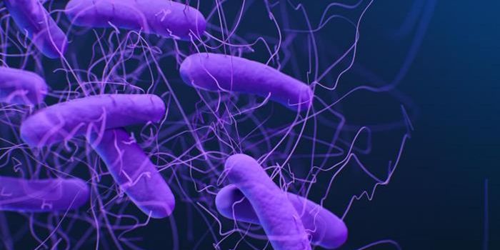 FDA Approves the First Drug Made From the Fecal Microbiome