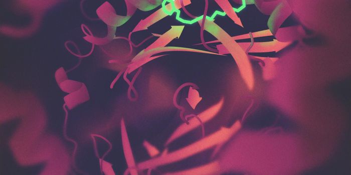 What makes a poison ivy rash so irritating?