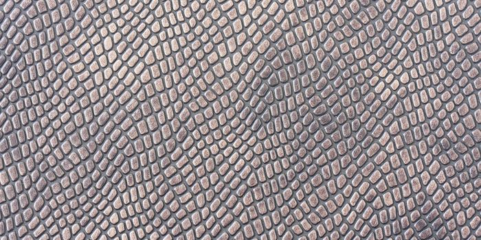 Snake skin-inspired tech will keep elderly from falling